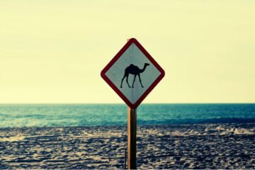 Lo que debes saber sobre el circuito norte de Baja California Sur