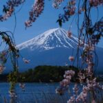 guía para viajar a japón